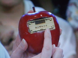 真実の赤リンゴ２ 恵梨香の森